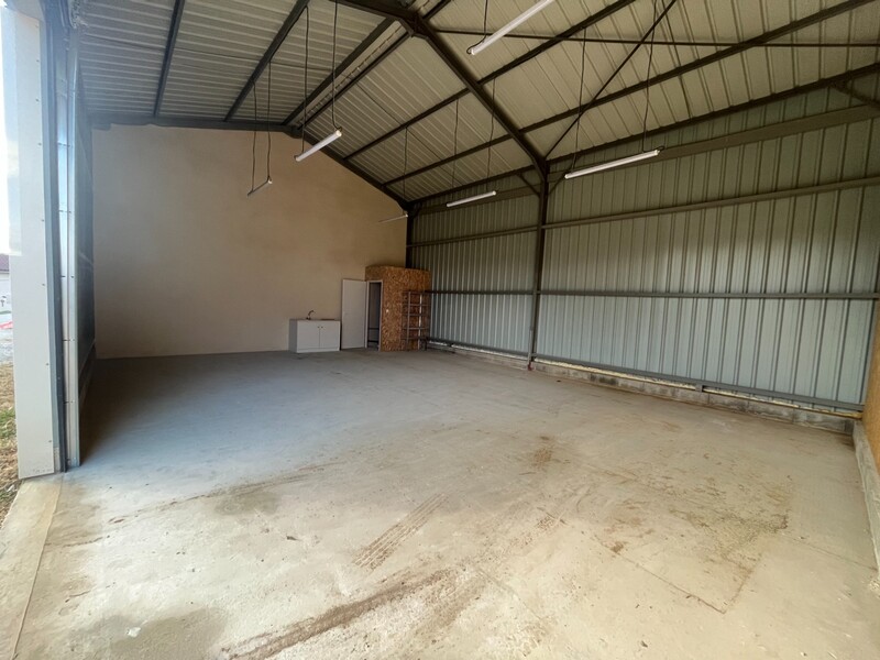 Miniature de la photo 2