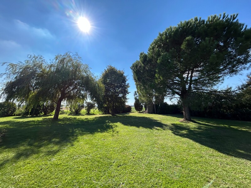 Miniature de la photo 28