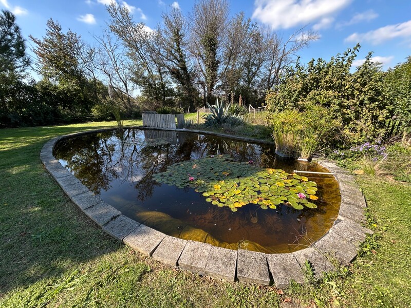 Miniature de la photo 29