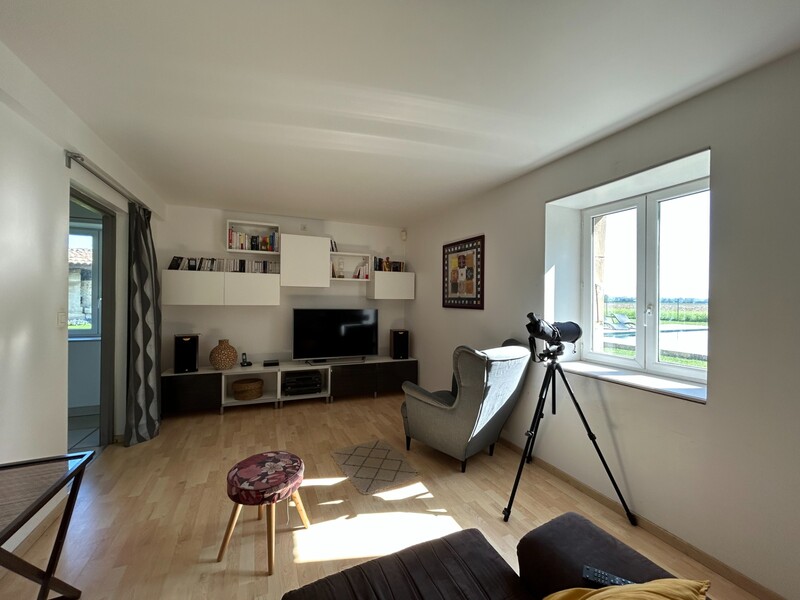 Miniature de la photo 11