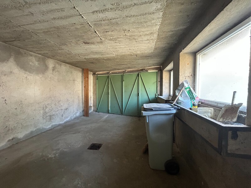 Miniature de la photo 7