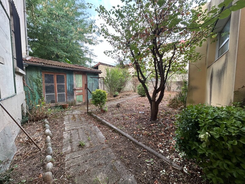 Miniature de la photo 7