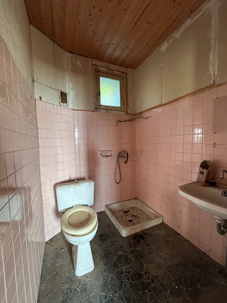 Miniature de la photo 6