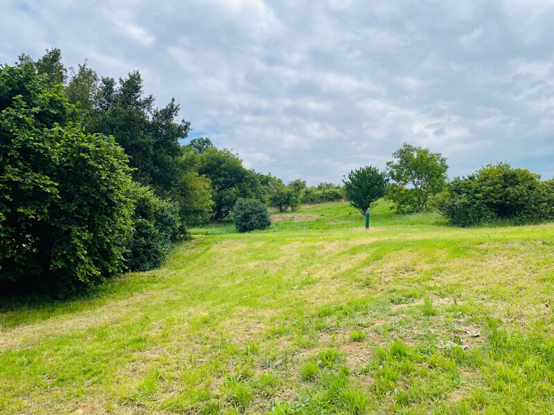 Miniature de la photo 1