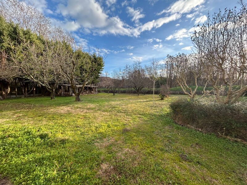 Miniature de la photo 2