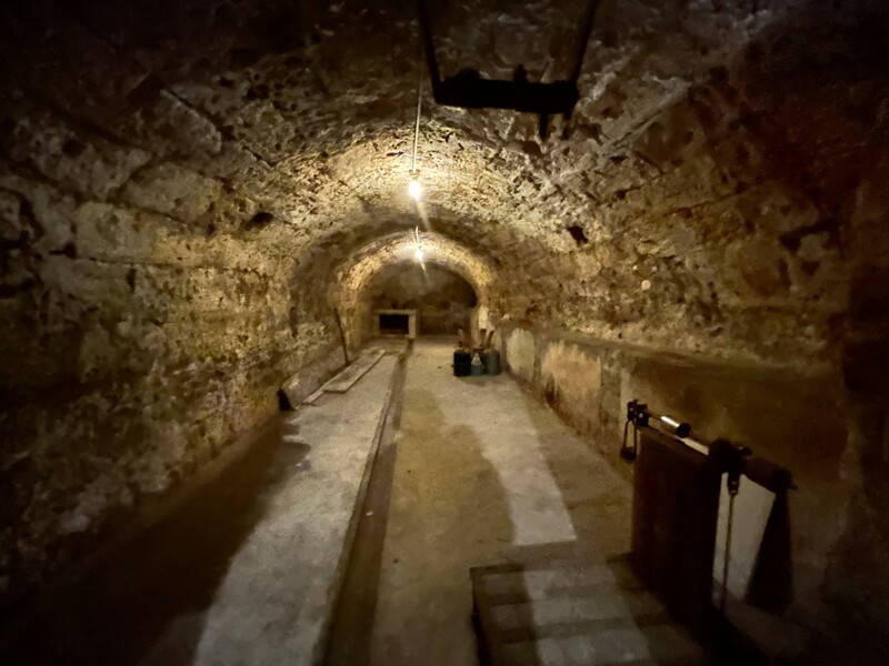 Miniature de la photo 4