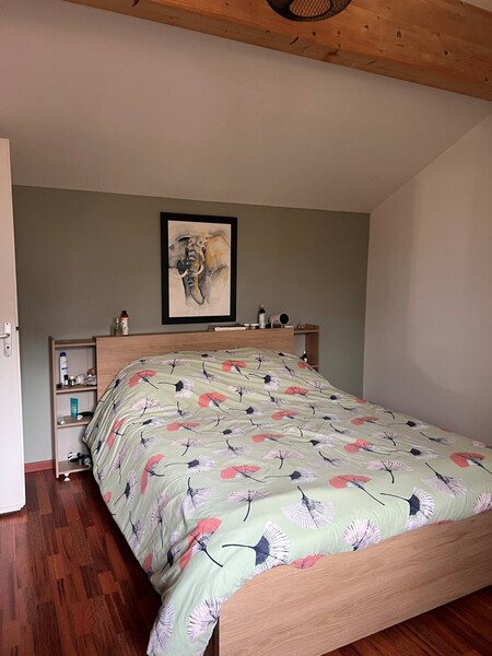 Miniature de la photo 6