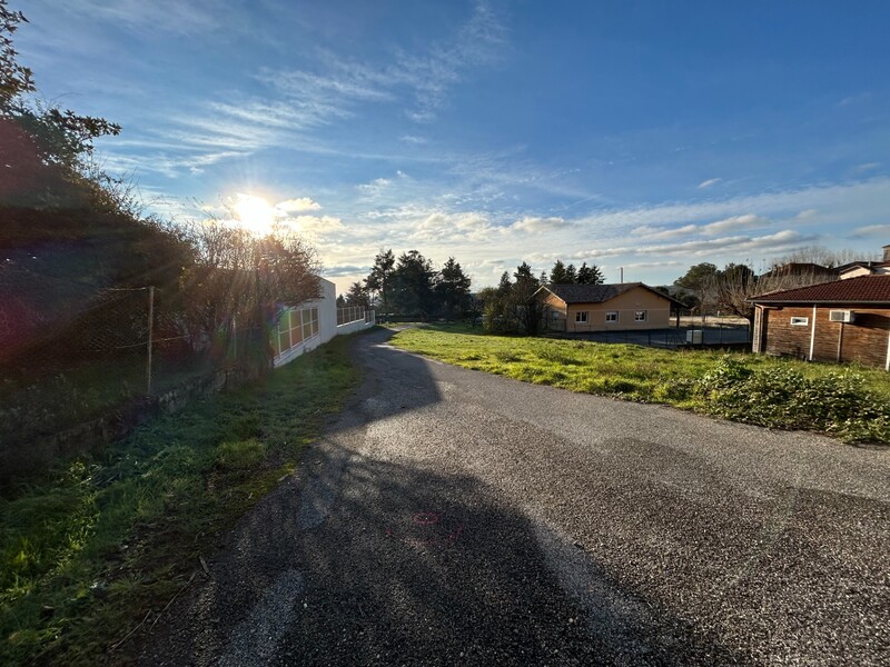 Miniature de la photo 7