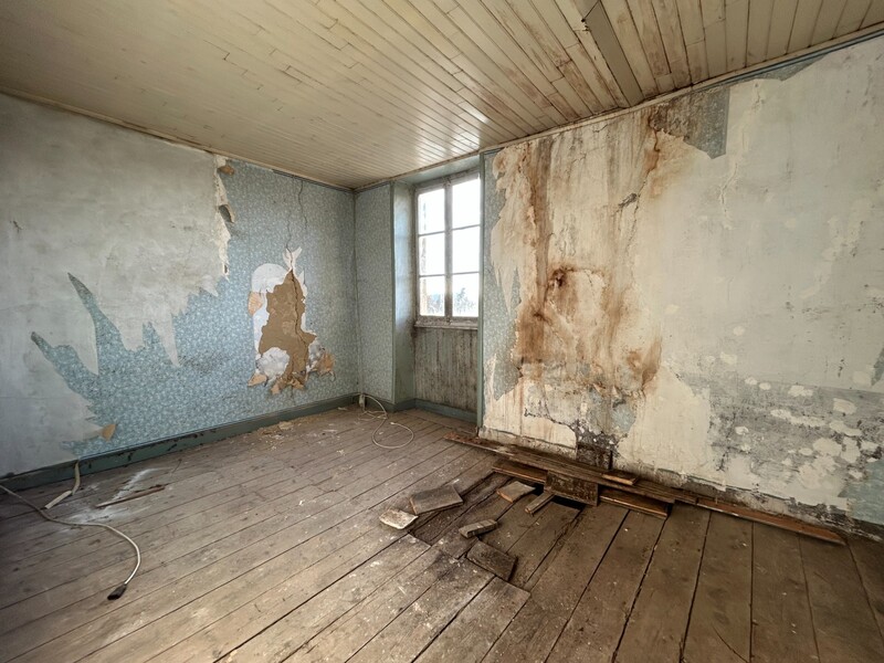 Miniature de la photo 14