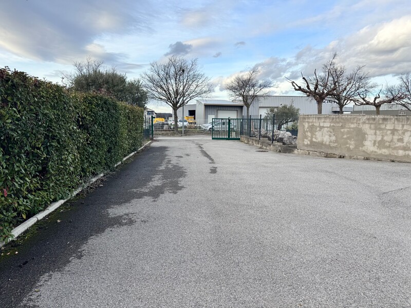 Miniature de la photo 2