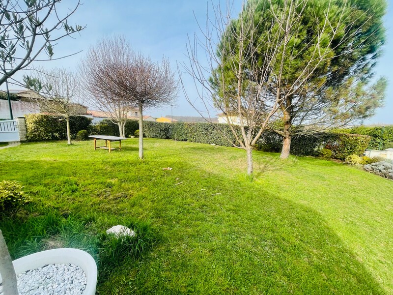 Miniature de la photo 2