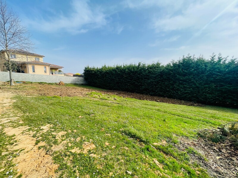 Miniature de la photo 1