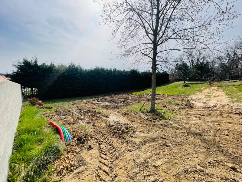 Miniature de la photo 2