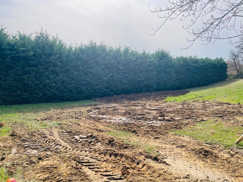 Miniature de la photo 3