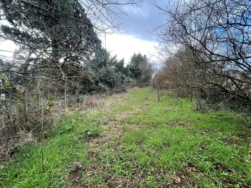 Miniature de la photo 5