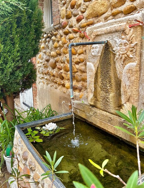 Miniature de la photo 6