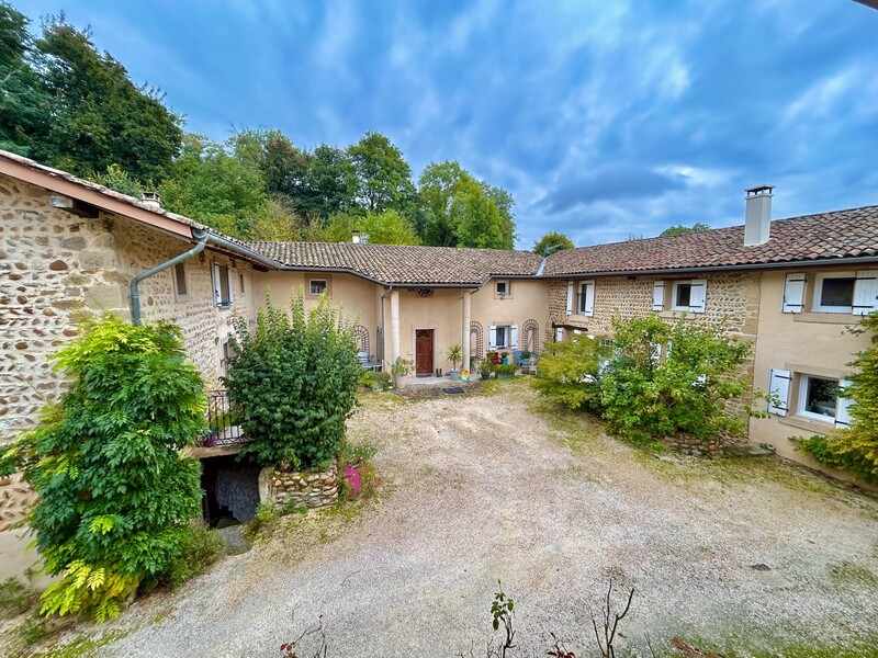 Miniature de la photo 8