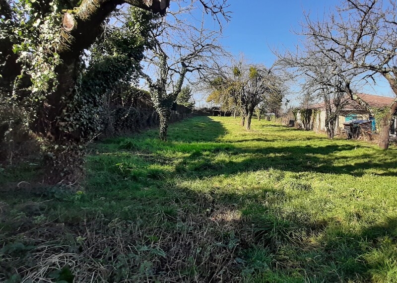 Miniature de la photo 0