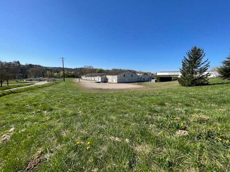 Miniature de la photo 1