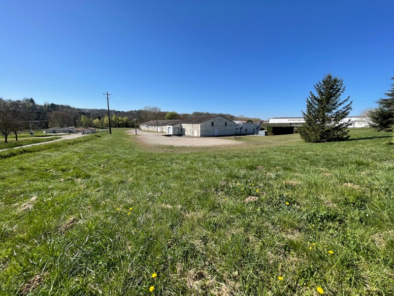 Miniature de la photo 2