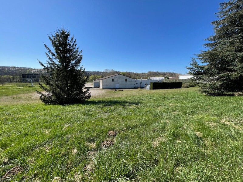 Miniature de la photo 3