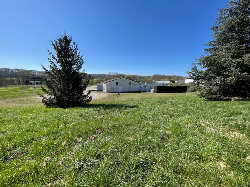 Miniature de la photo 4