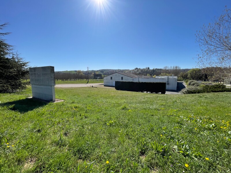 Miniature de la photo 5