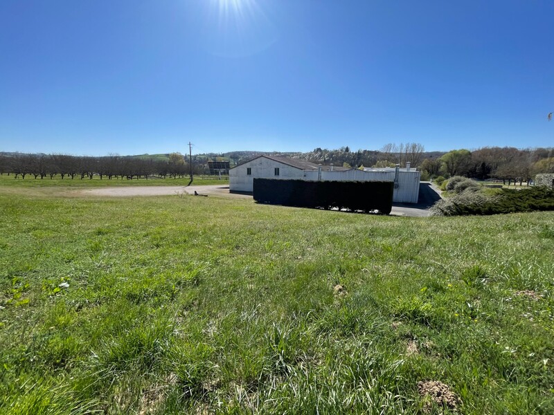 Miniature de la photo 6