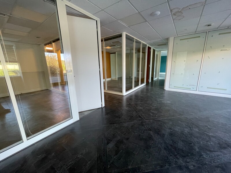 Miniature de la photo 7