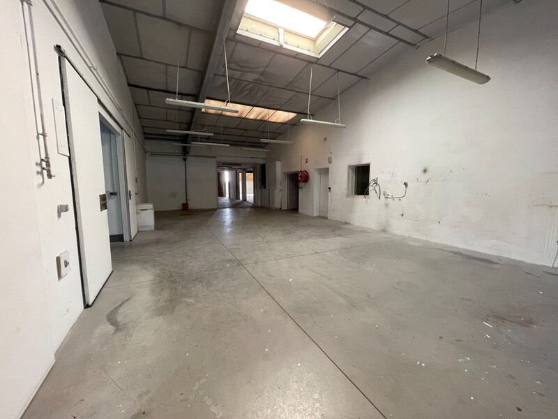 Miniature de la photo 8