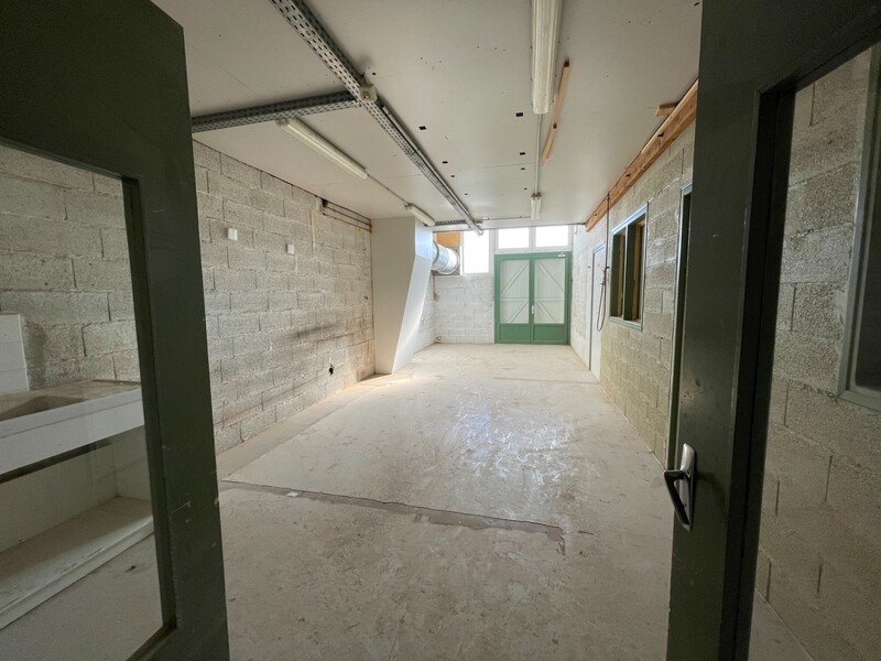 Miniature de la photo 12