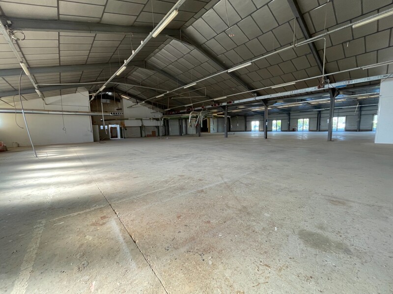 Miniature de la photo 13