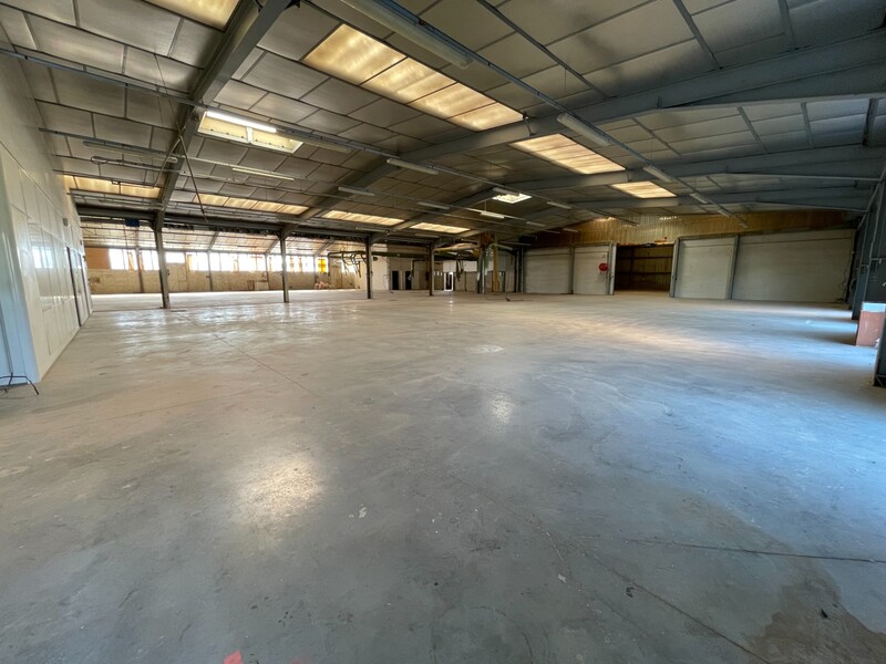 Miniature de la photo 14