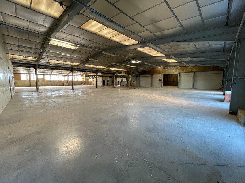 Miniature de la photo 17