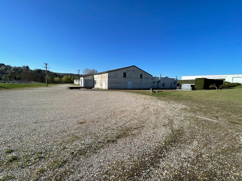 Miniature de la photo 23