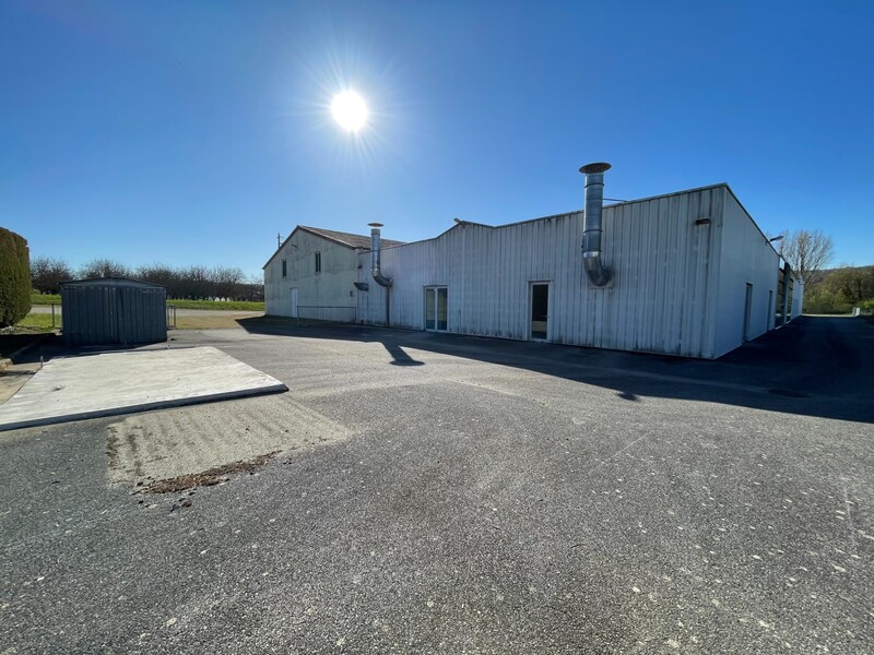 Miniature de la photo 24