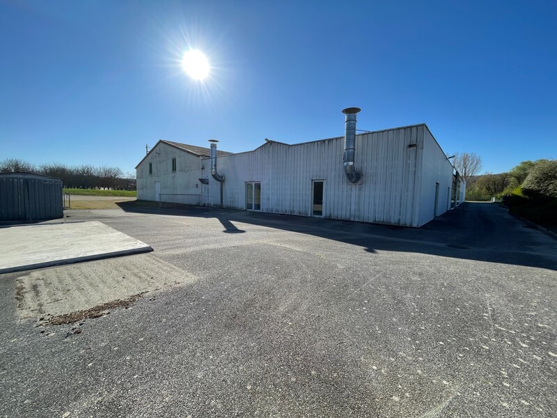 Miniature de la photo 25