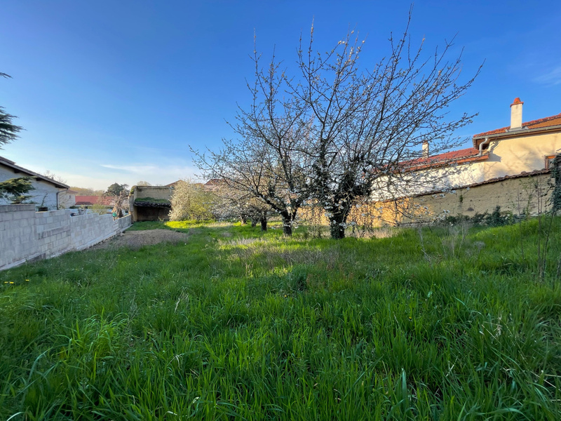 Miniature de la photo 0