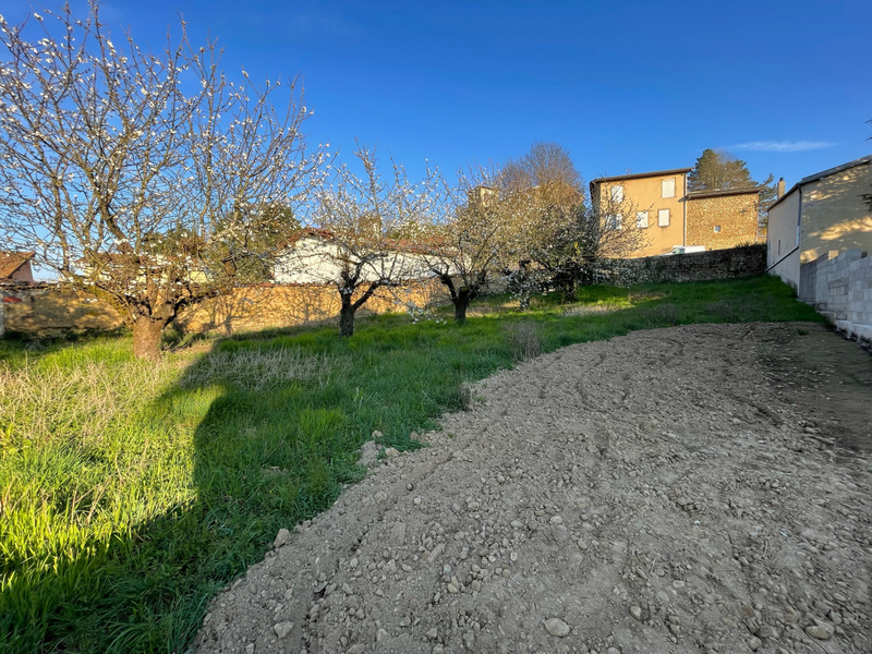 Miniature de la photo 1