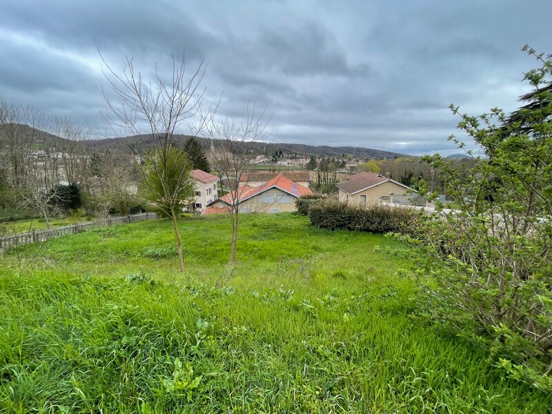 Miniature de la photo 11