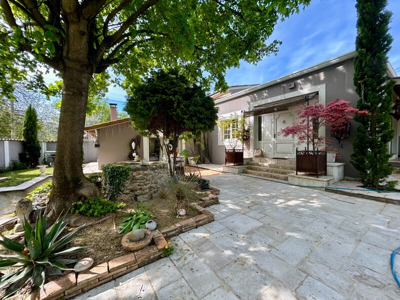 Miniature de la photo 8