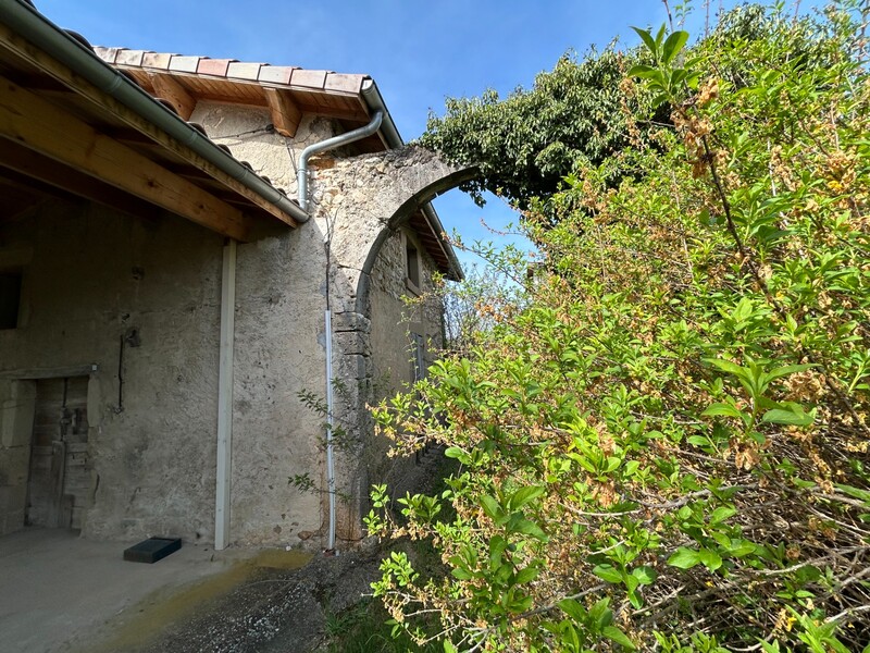 Miniature de la photo 3