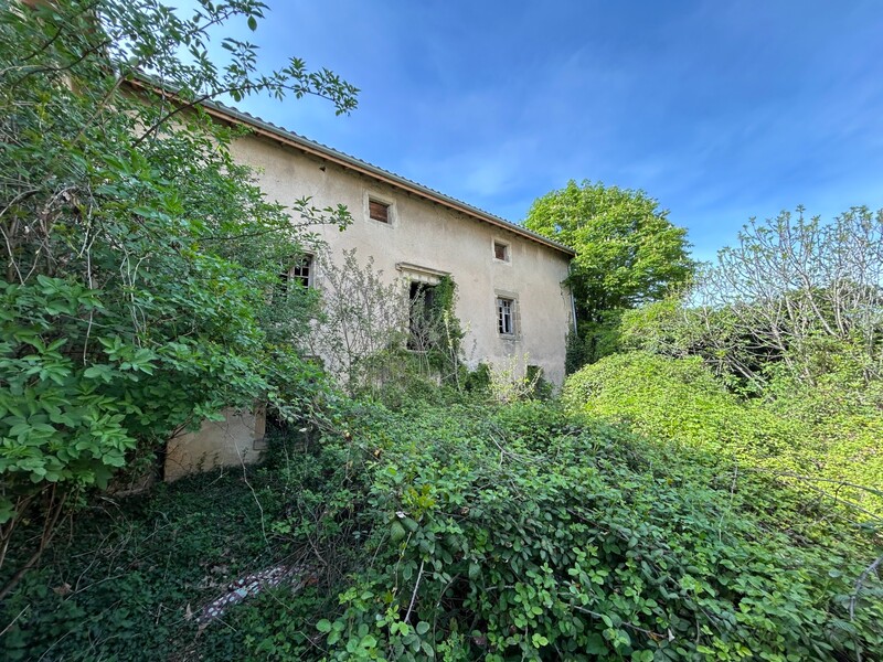 Miniature de la photo 4