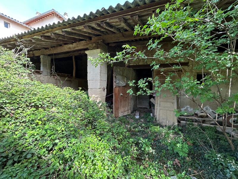 Miniature de la photo 5