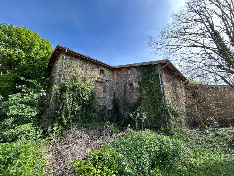 Miniature de la photo 6