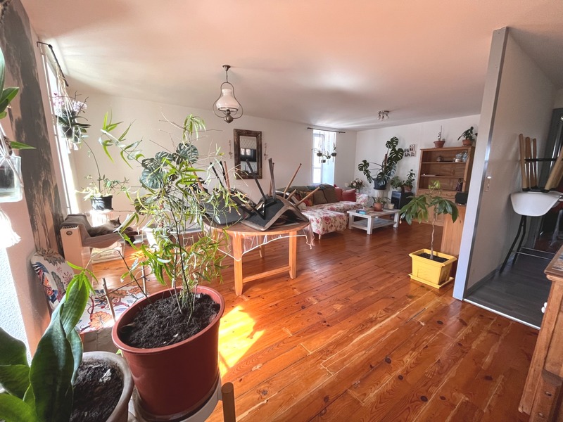 Miniature de la photo 2