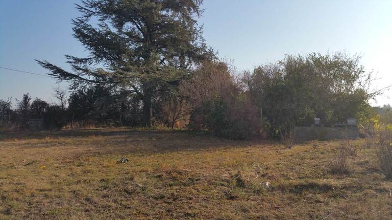 Miniature de la photo 7